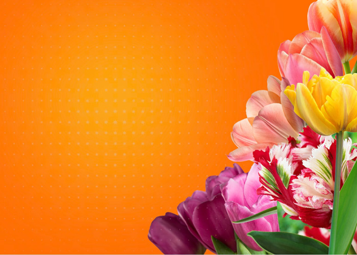 Złota Jesień || Kupuj taniej. Rabaty do -70%