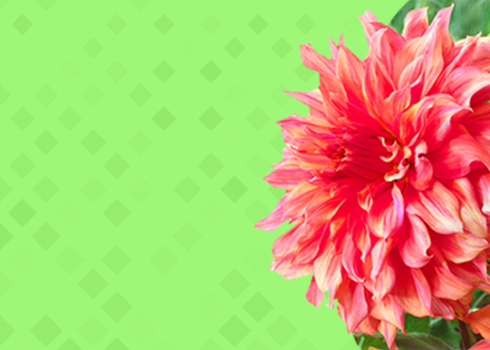 Świeża Wiosna || Nowa oferta. Rabaty do -70%